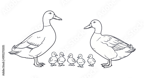 A charming outline drawing depicts a duck family featuring two adult ducks and five small ducklings, perfect for educational materials, childrens books, or simple animal themes.