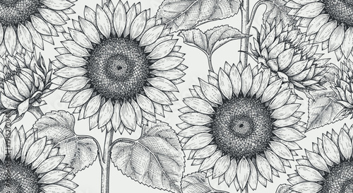Detailed black and white engraving style sunflower plant blossoms arranged in a repeating botanical texture ideal for textile prints, packaging, wallpaper, or nature themed decorative