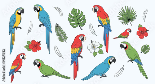 Collection of vibrant colorful macaw and small parrots with tropical leaves, exotic hibiscus flowers, and feathers, perfect for summer vacation, jungle themed projects, or nature inspired