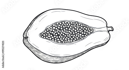 Detailed hand drawn sketch of a tropical papaya fruit sliced open to reveal its numerous seeds, ideal for organic food packaging, health blogs, or culinary educational materials.