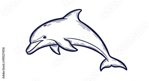 Dynamic jumping dolphin marine animal in an engraved graphic style perfect for ocean themed logos print designs or educational materials for sea life enthusiasts
