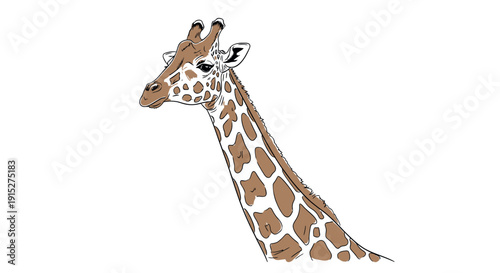 A captivating graphic drawing of a giraffes head and long neck featuring its unique spotted coat, perfect for educational materials, animalthemed projects, and childrens books