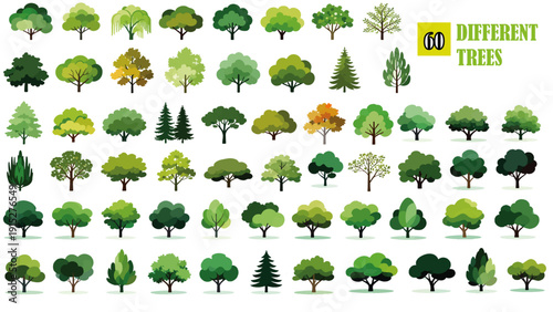 Diverse forest species compilation showcasing rich foliage shapes and natural diversity for environmental design, educational projects, and landscape planning.