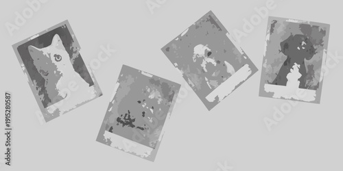 Four distressed grayscale images of cats arranged on a gray background