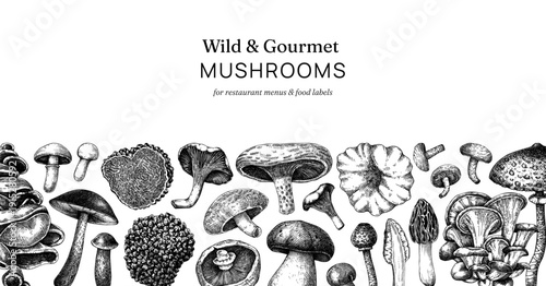 Culinary mushrooms hand drawn vector illustration. Wild fungi frame for restaurant menu design and healthy food products.  NOT AI generated