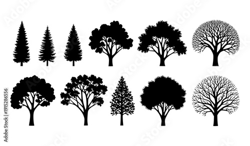 Mixed Tree Silhouette Collection with Pine and Leafless Branch Trees Vector