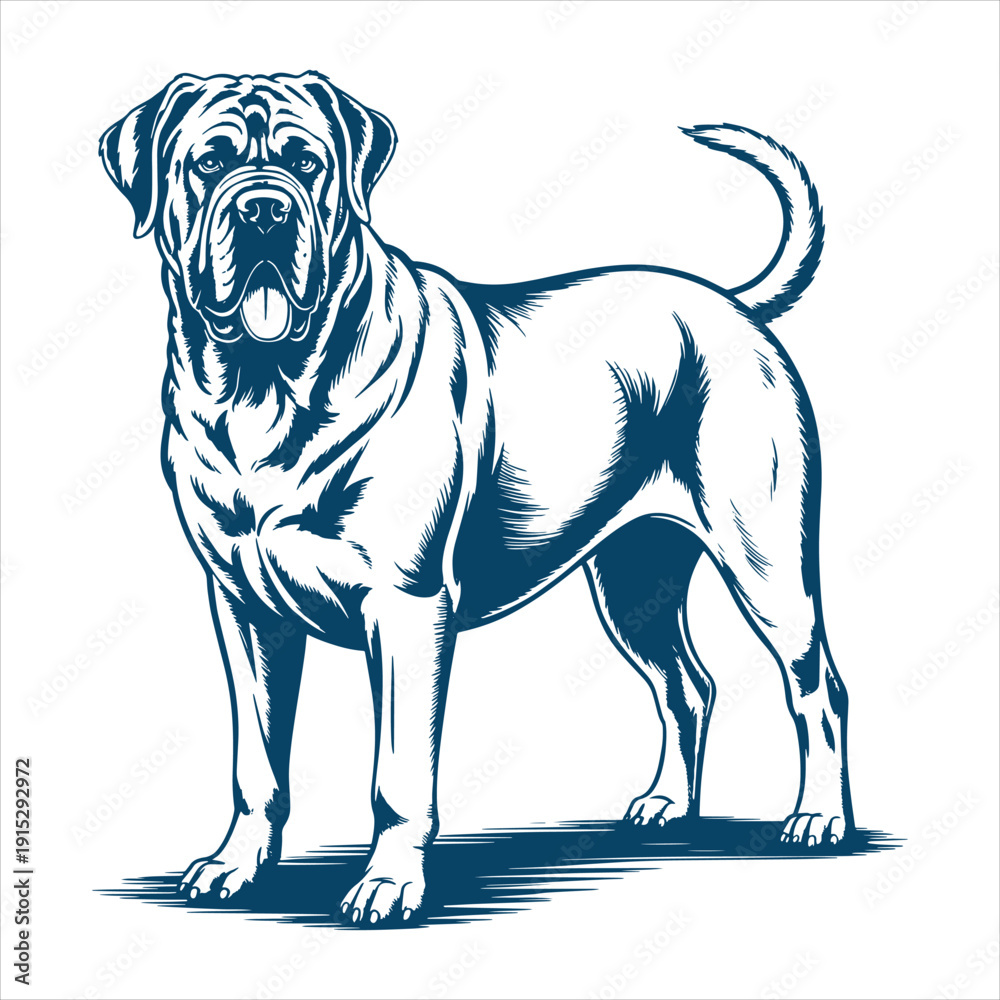 Fototapeta premium Rottweiler Standing Strong Dog Vector Illustration