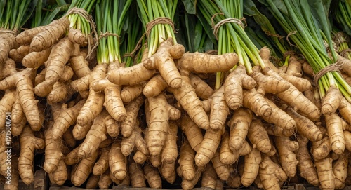 Local farm producing fresh ...