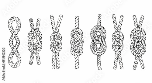 A variety of different knots and their intricate tying patterns. Vector