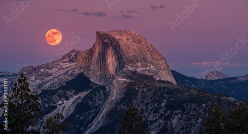 Natural themed mountain wal...