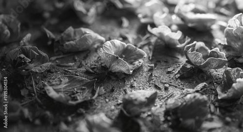 Macro natural backdrop with...