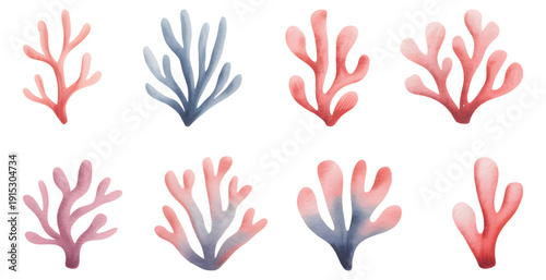 Underwater seaweed and coral elements in delicate hand paint watercolor style. Marine coral reef collection isolated for textile and invitation use.