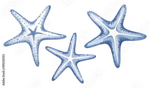 Ocean starfish elements in delicate hand paint watercolor style. Pastel marine sea star collection isolated. 