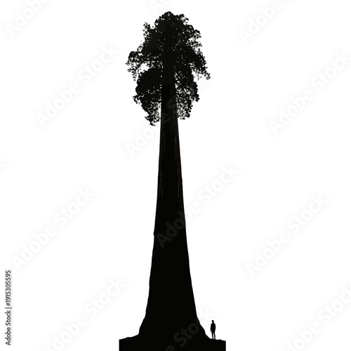 Silhouette of a giant sequoia tree with a person standing at the base.