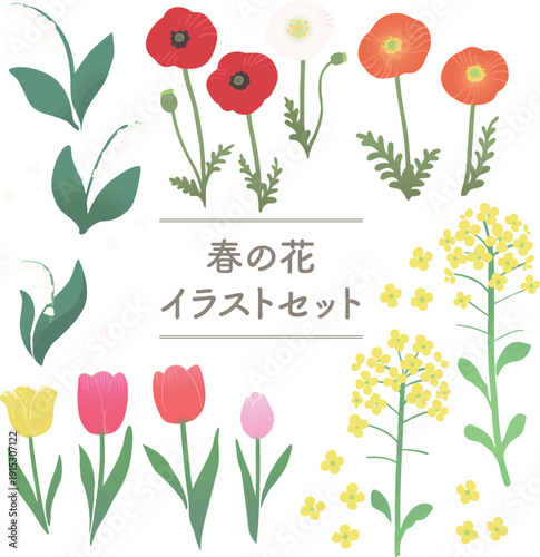 春の花のベクターイラストセット　ポピー・菜の花・スズラン・チューリップのフラワー素材集