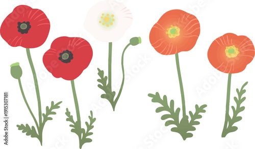 ポピーのベクターイラスト　春の花のシンプルなフラワー素材