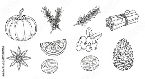 Assorted autumn and winter seasonal items including fruits, nuts, and decor Vector