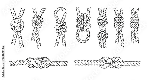 A collection of intricate and varied knot designs showcased in a linear arrangement. Vector