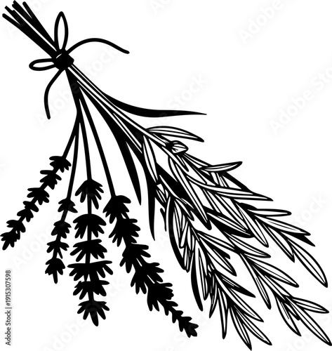Hand Drawn Vector Bundle of Herbs Silhouette - Tied Lavender and Rosemary Bouquet Monoline Graphic