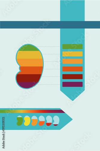 Chronic kidney disease stages color coded medical infographic illustration