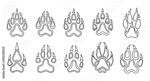 A collection of various animal paw prints from different species Vector