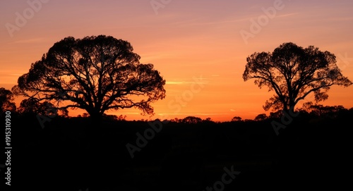 Sunset panorama showcasing ...