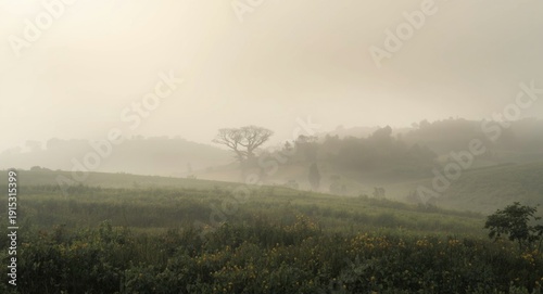 Cloudy and vaporous rural t...