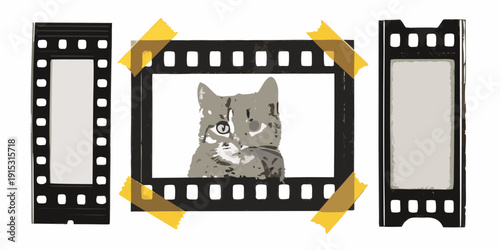 Three film strips with a portrait of a gray kitten taped in the center