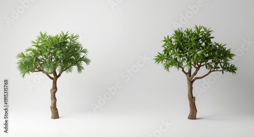 Individual tropical hardwoo...