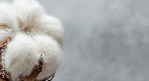 Macro shot of natural cotto...