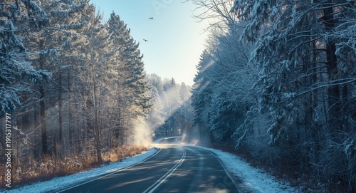 Peaceful winter forest road...