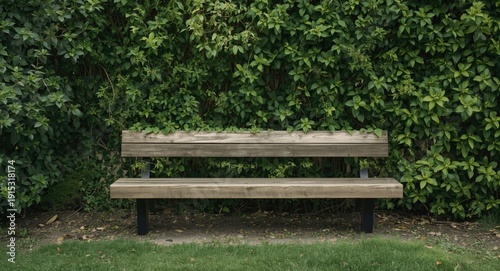 Plain wooden bench with thr...