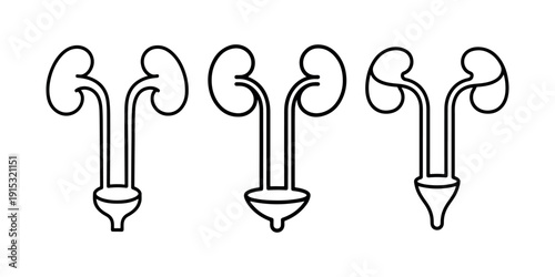 Set of three stylized line art icons representing kidneys ureters and bladder medical organ anatomy illustration isolated on white background