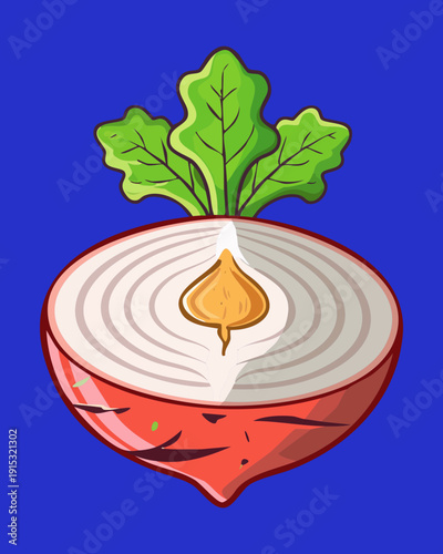 Half of sliced red radish showing internal layers for healthy salad ingredient and organic vegetable design - Vector Illustration