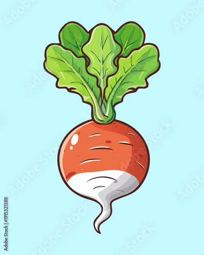 Fresh whole red radish with long green leaves for organic gardening and healthy vegetable lifestyle theme - Vector Illustration