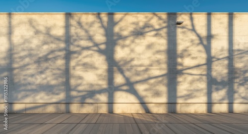 Sunlight producing sharp sh...