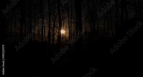 Radiant full moon glowing t...
