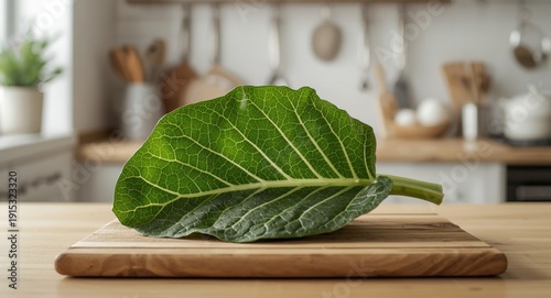 Fresh green vegetable leaf ...
