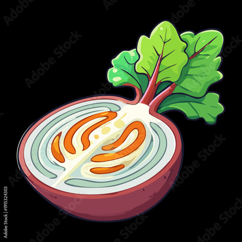 Cross section of fresh red radish showing internal layers and green leaves for vegan nutrition - Vector Illustration