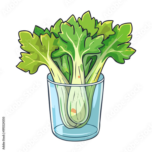 Bundle of fresh celery stalks with green leaves for cooking healthy soup and organic meals - Vector Illustration