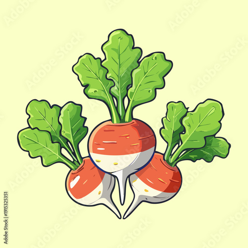 Freshly harvested red radishes with green leaves for healthy organic nutrition and vegan meal prep - Vector Illustration