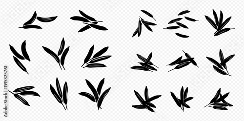 A diverse collection of black leaf silhouettes and botanical branch elements on a transparent background.
