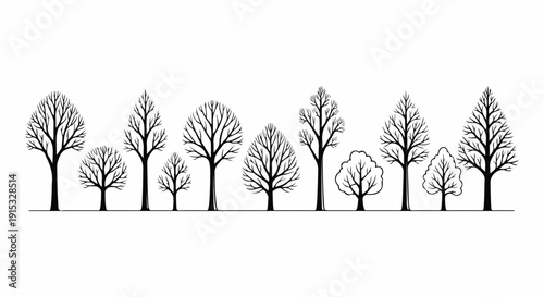 A line of trees in various shapes and sizes against a white background Vector