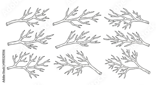 A collection of various types of tree branches and twigs with leaves Vector