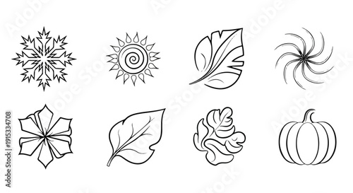A collection of intricate line drawings featuring nature-inspired designs and autumn symbols Vector