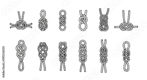 A collection of intricate and diverse knot designs showcasing various techniques Vector