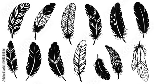 Collection of stylized black feathers with intricate patterns and tribal designs on white background
