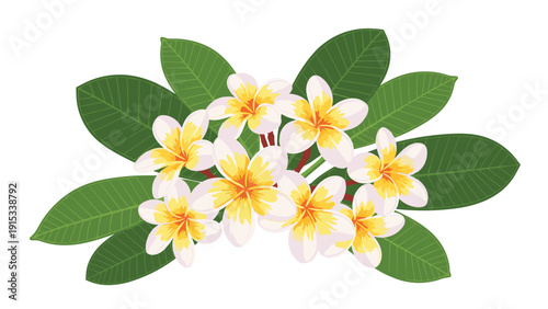 Cluster of beautiful white and yellow frangipani plumeria flowers nestled among large green leaves in a tropical illustration.