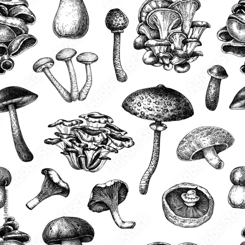 Culinary mushrooms seamless patetrn. Hand drawn vector illustration. Wild fungi background for restaurant menu design and healthy food products.  NOT AI generated