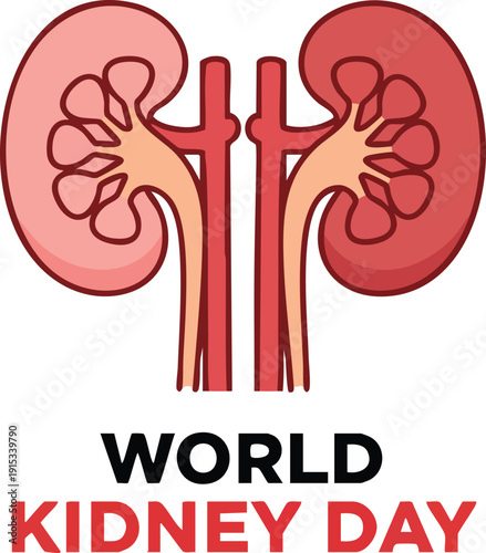 Illustration of human kidneys for world kidney day celebration and awareness